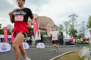 BIB: 
                            <button type="button" onclick="openModal(26528450)" class="btn btn-primary btn-sm float-right btn-popup" data-toggle="modal" data-target=".modal-high-quality">
                        <i class="fas fa-shopping-cart"></i> Add to Cart
                    </button>
                                            <button type="button" onclick="isThisMe(26528450, true)" class="btn btn-success btn-sm float-right btn-popup btn-isme hidden" data-toggle="tooltip" data-placement="bottom" title="นี่คือรูปของคุณใช่ไหม คลิกที่นี่เพื่อเอาเข้าอัลบั้ม">
                        <i class="fas fa-plus"></i> Add to album
                    </button>
                    <button type="button" onclick="isThisMe(26528450, false)" class="btn btn-warning btn-sm float-right btn-popup btn-isnotme hidden">
                        <i class="fas fa-ban"></i> Remove from album
                    </button>